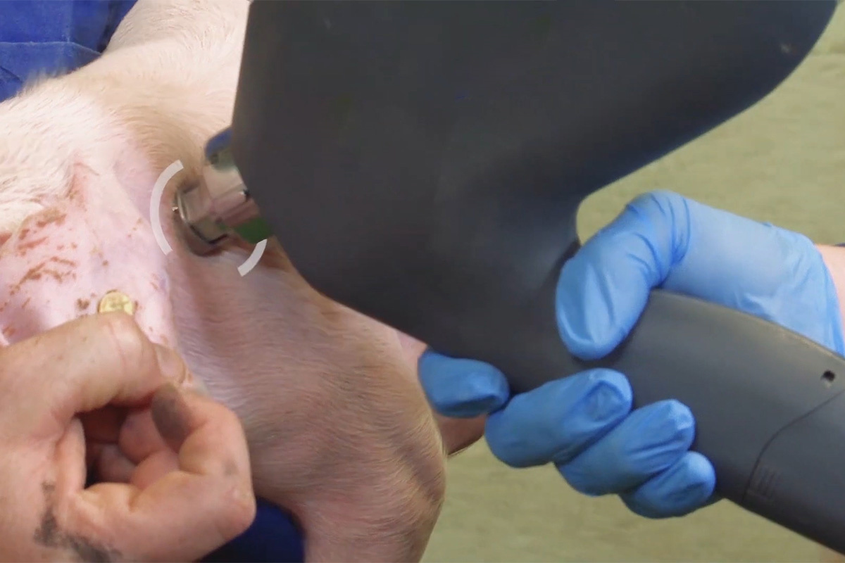 ECI-T2 Pig Needle-free Injector-detail 3