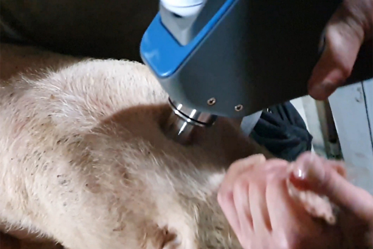 ECI-T2 Pig Needle-free Injector-detail 4