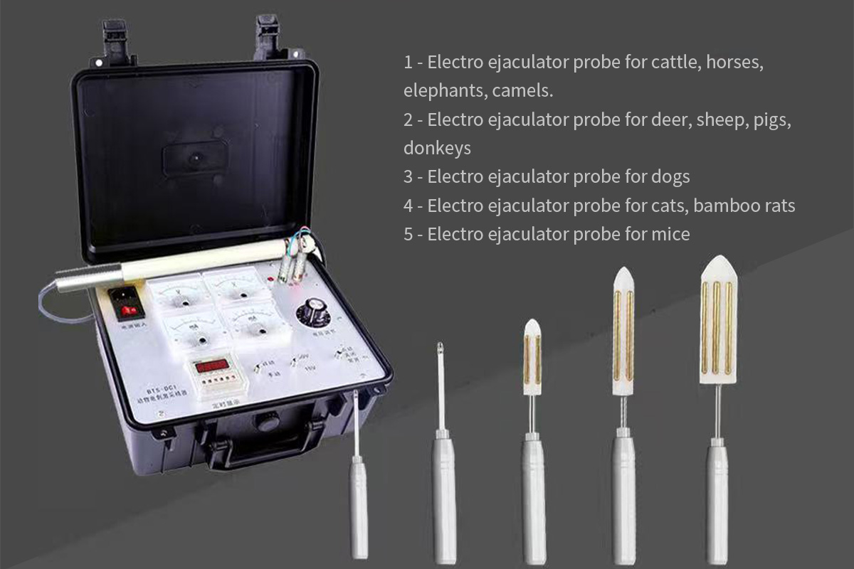 Electro Ejaculator-detail 1