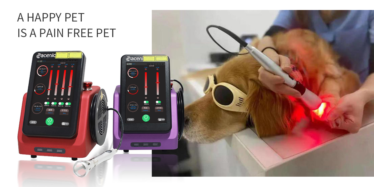 Veterinary Laser Therapeutic Apparatus - First Choice for Veterinarians