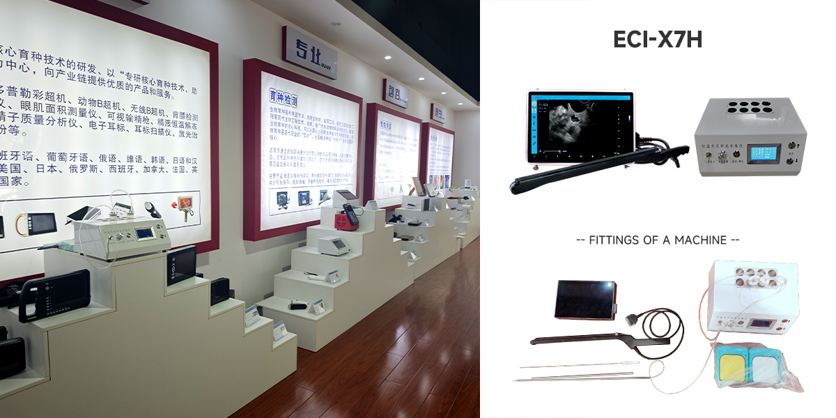 From Chengdu, this “animal-based” enterprise has ventured into the world!