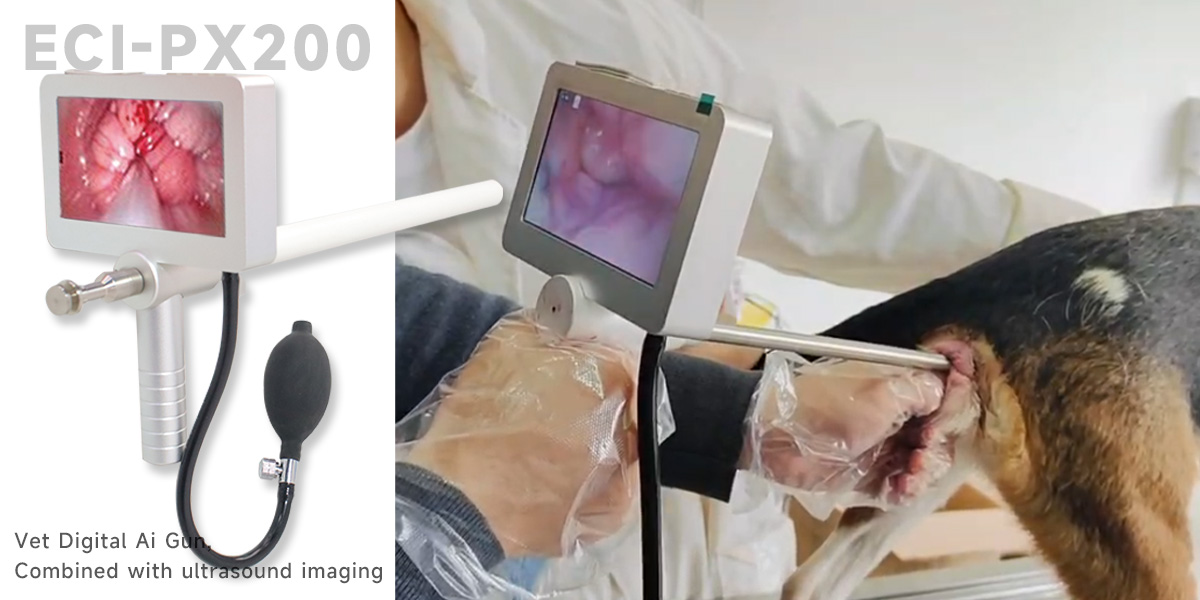 meaisíní ultrafhuaime a úsáidtear i gcomhar le Ai Equipment.jpg
