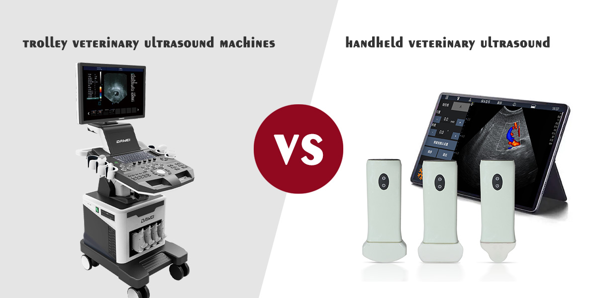 Do Handheld Veterinary Ultrasound Machines work???