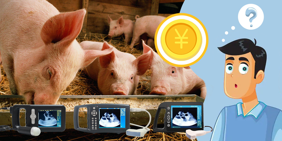 Eacenic Group In-Depth Analysis: What is the Total Cost of an Ultrasound Machine?