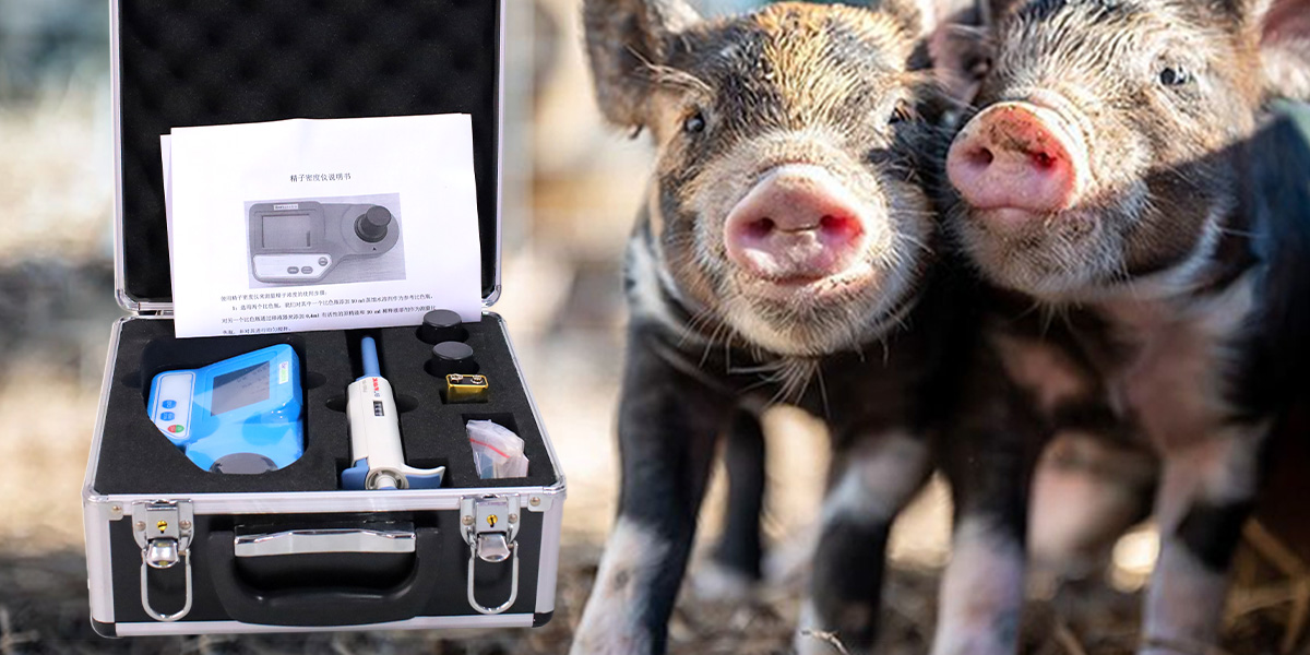 What equipment can measure the sperm of pigs?