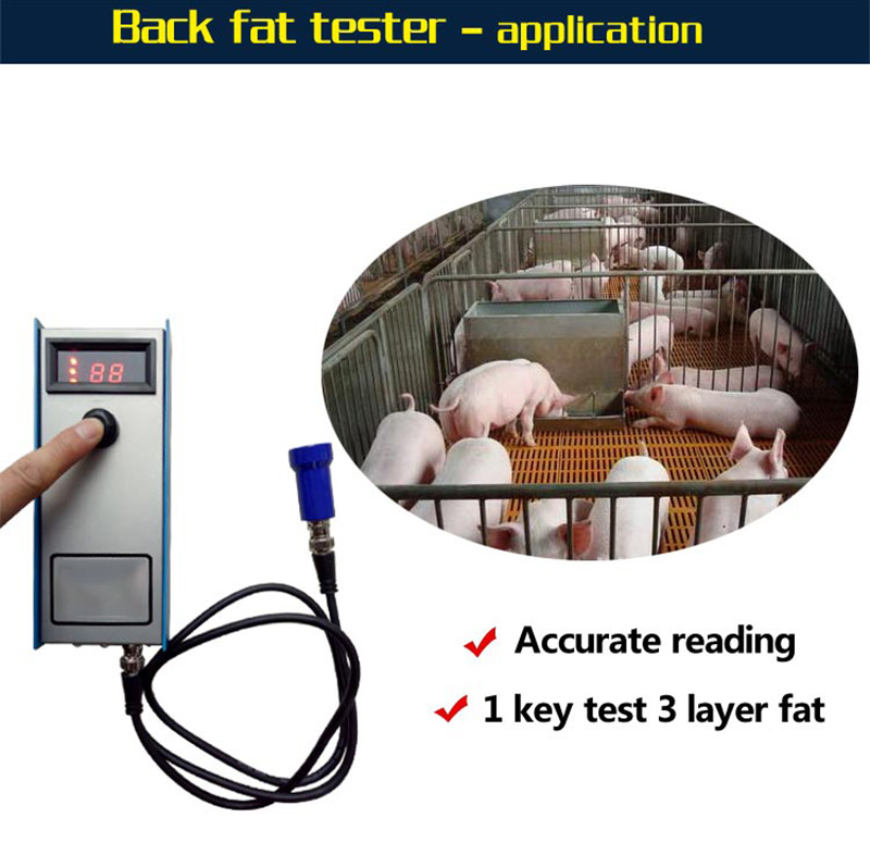 ECI-300 Back-fat Measuring Instrument-detail 4