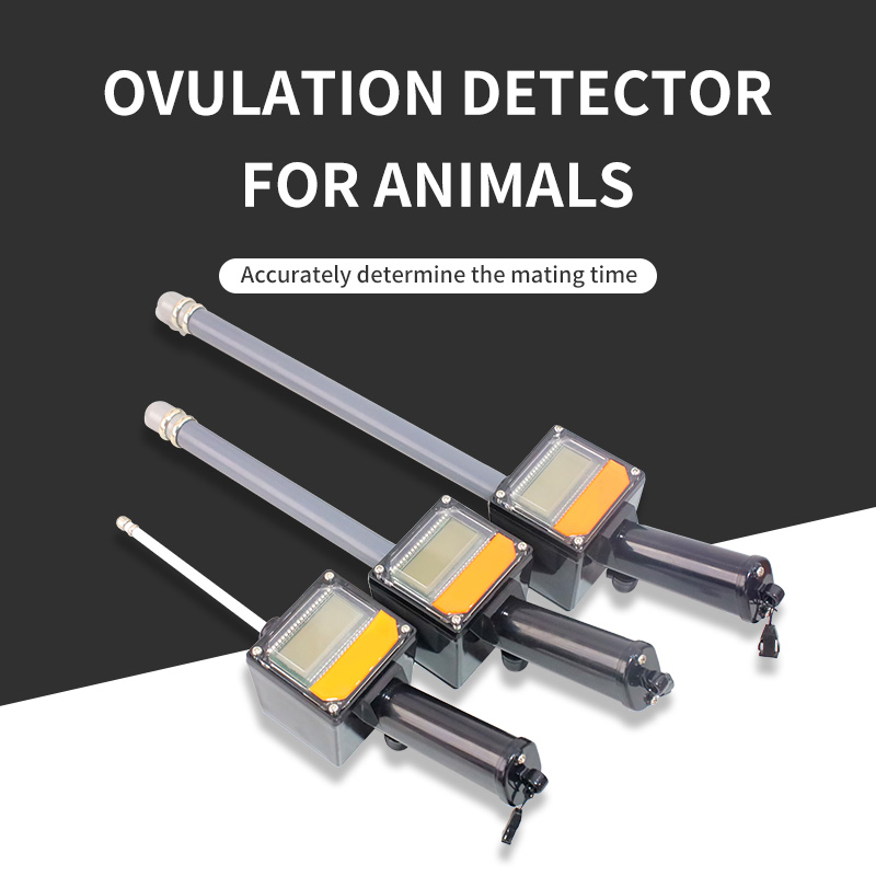 ECI-500 Veterinary ovulation detector-detail 2