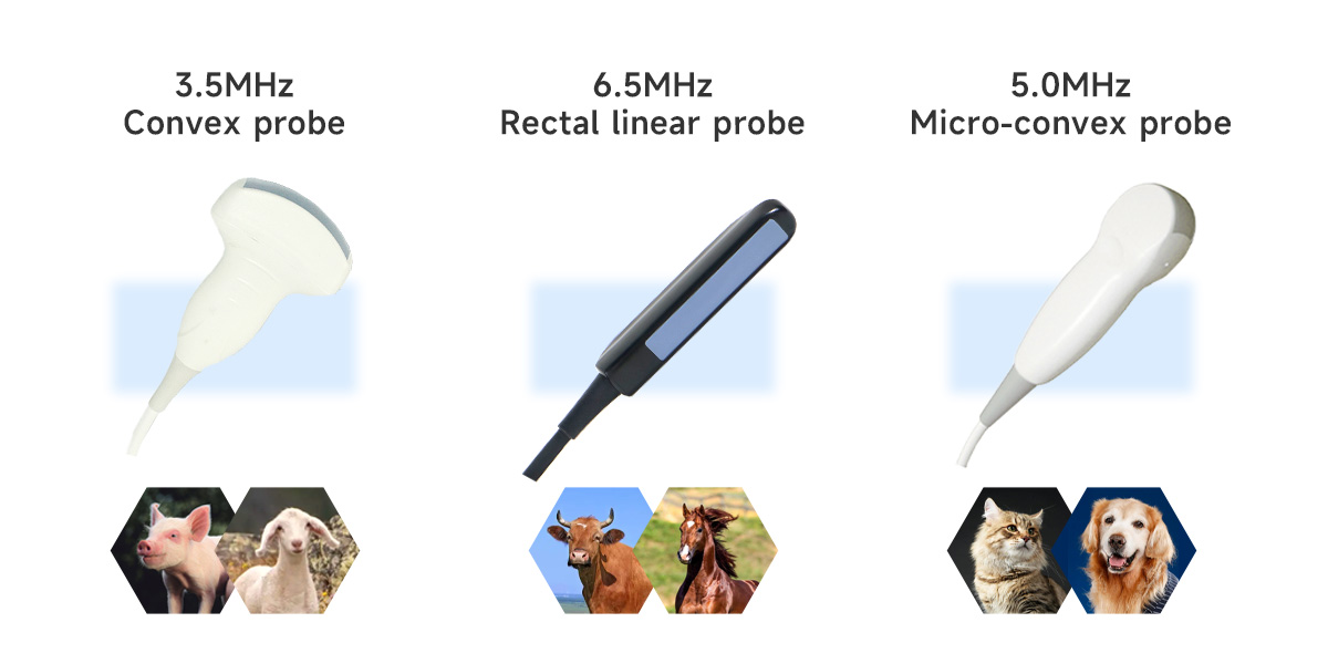 Roghnaigh probes.jpg cuí