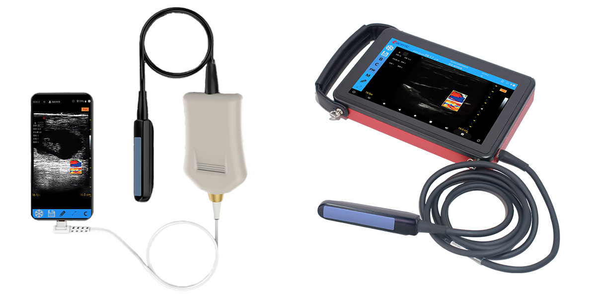 How to use vet color Doppler ultrasound Scanner?
