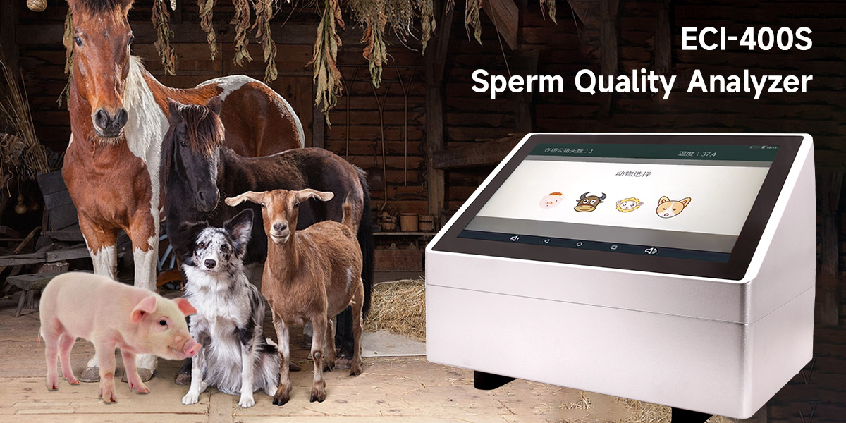 动物精子质量分析仪.jpg