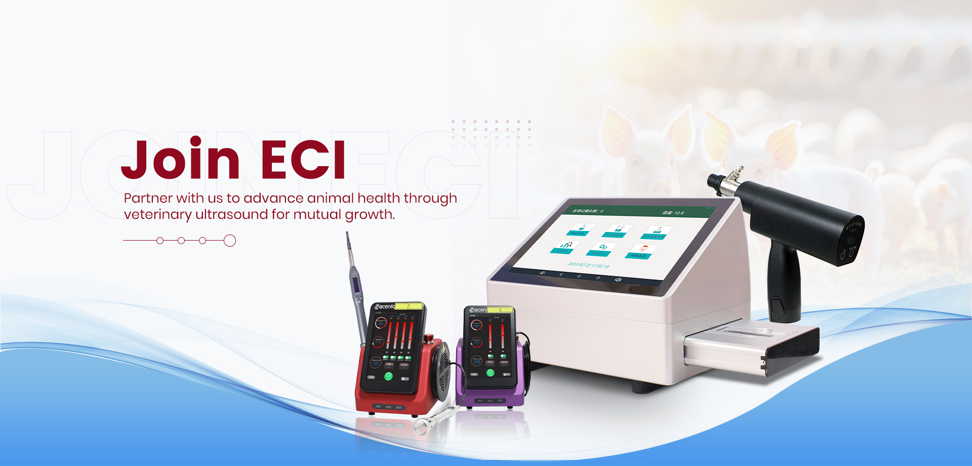 Ultrasound Diagnosis