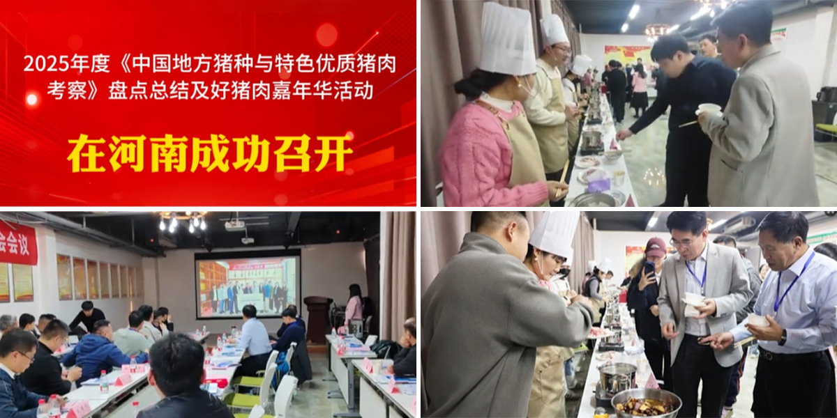 猪用超声波仪.jpg