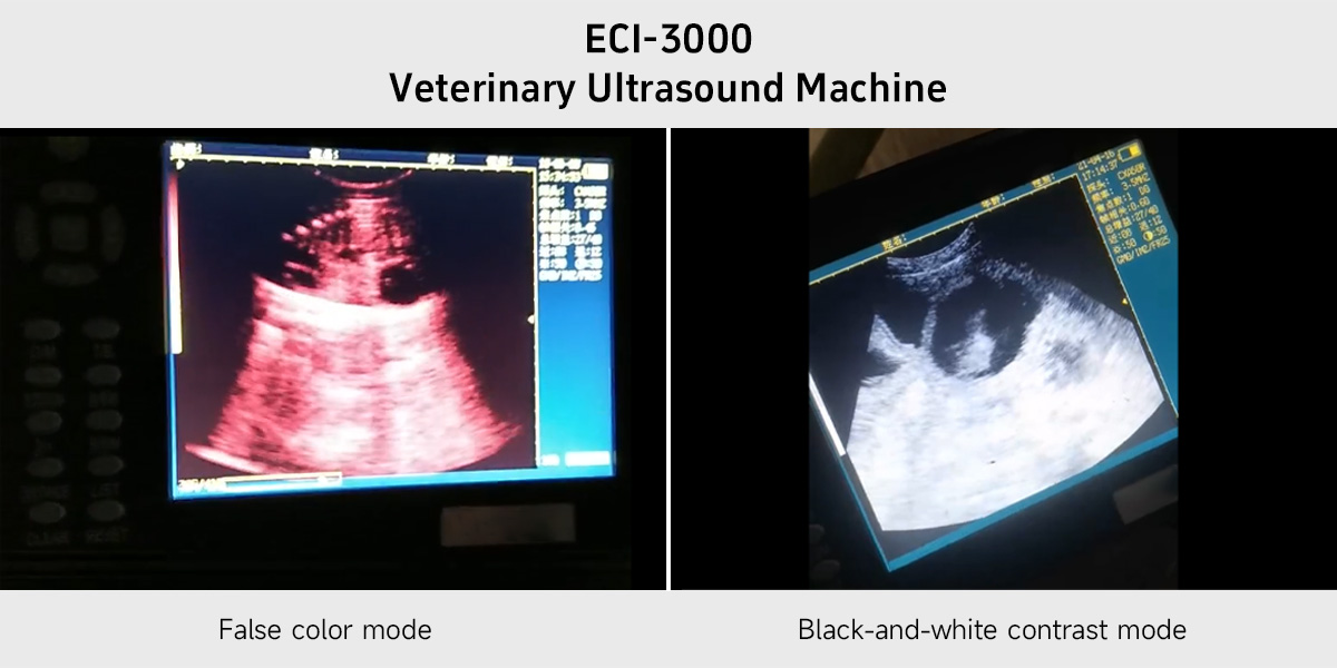 Veterinary Ultrasound Machine.jpg