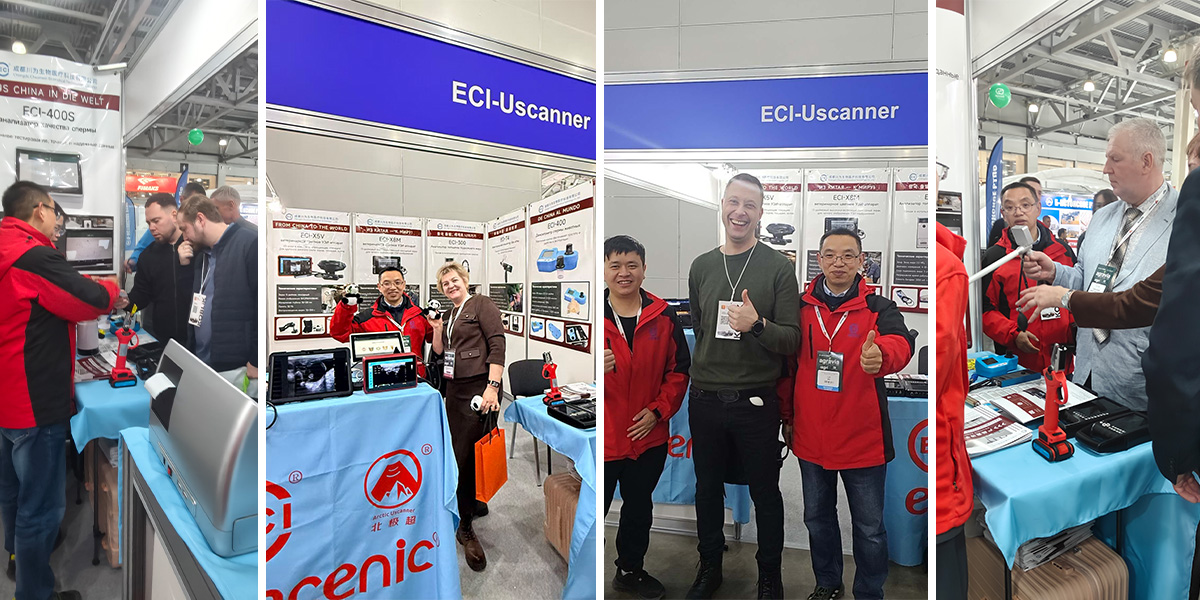 baril na artipisyal na pagpapabinhi.jpg