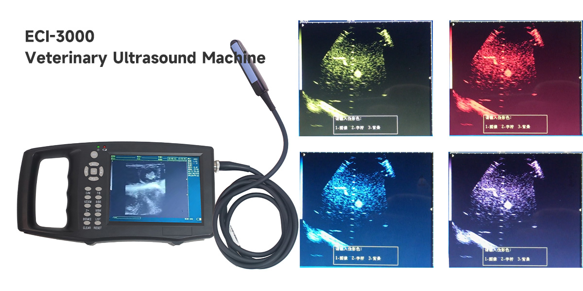 What Is The Difference Between Color And Non-color Veterinary Ultrasound?