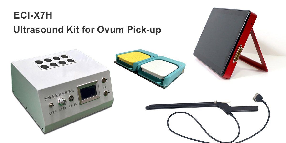 கருமுட்டை எடுப்பதற்கான அல்ட்ராசவுண்ட் கிட்.jpg