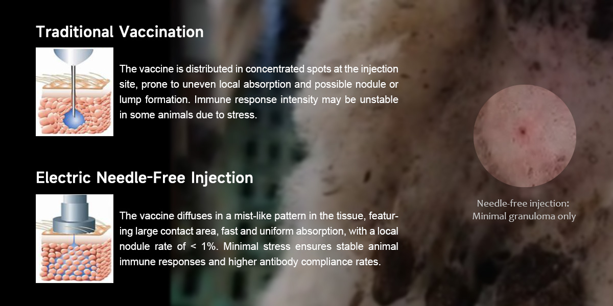 walay dagom nga injector.jpg