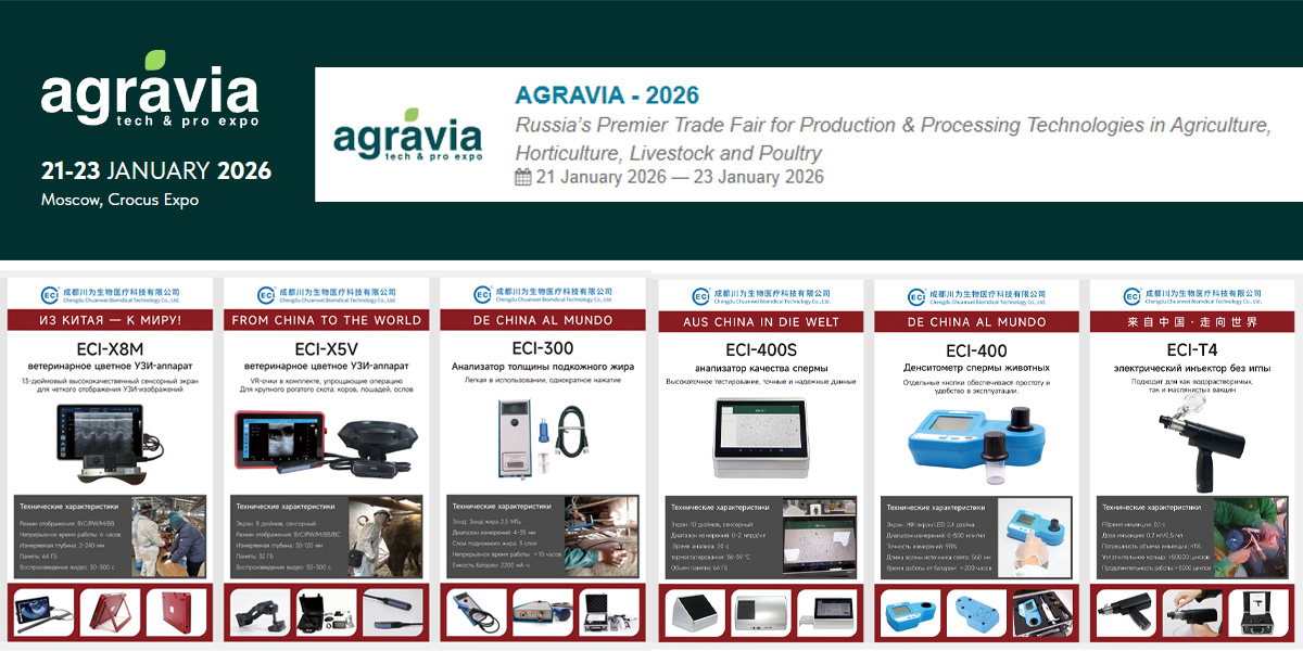 walay dagom nga injector.jpg