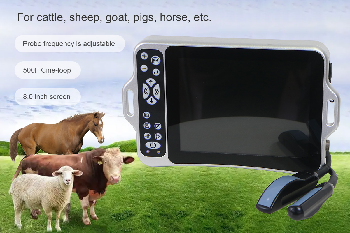 Veterinary Ultrasound Machine application