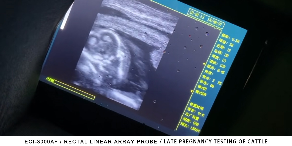 Application of Electronic probes.jpg