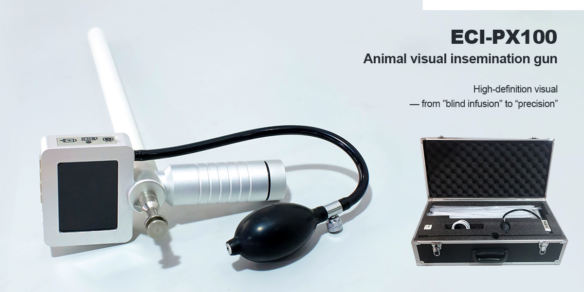 Say Goodbye to "Blind Input" --- How the ECI-PX100 Visual Insemination Gun Boosts Artificial Insemination Conception Rates to 73.78%