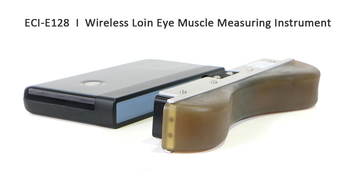 ECI-E128 Wireless Loin Eye Muscle Measuring Instrument.jpg