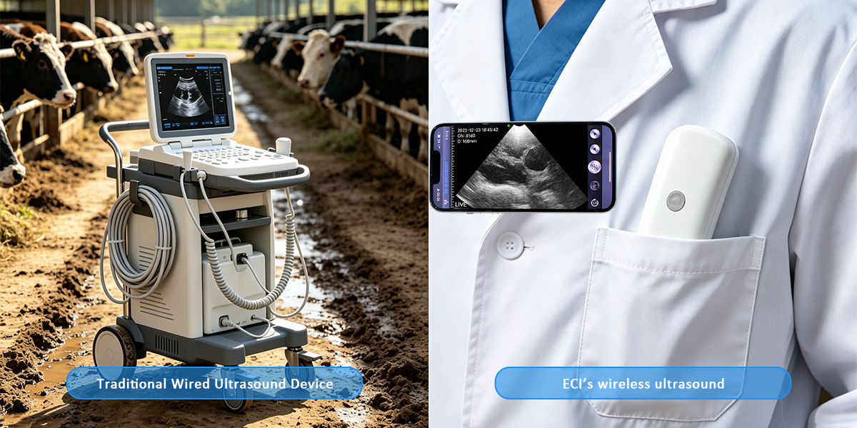 Wireless Veterinary Ultrasound: How ECI Group Is Changing the Way Veterinarians Work