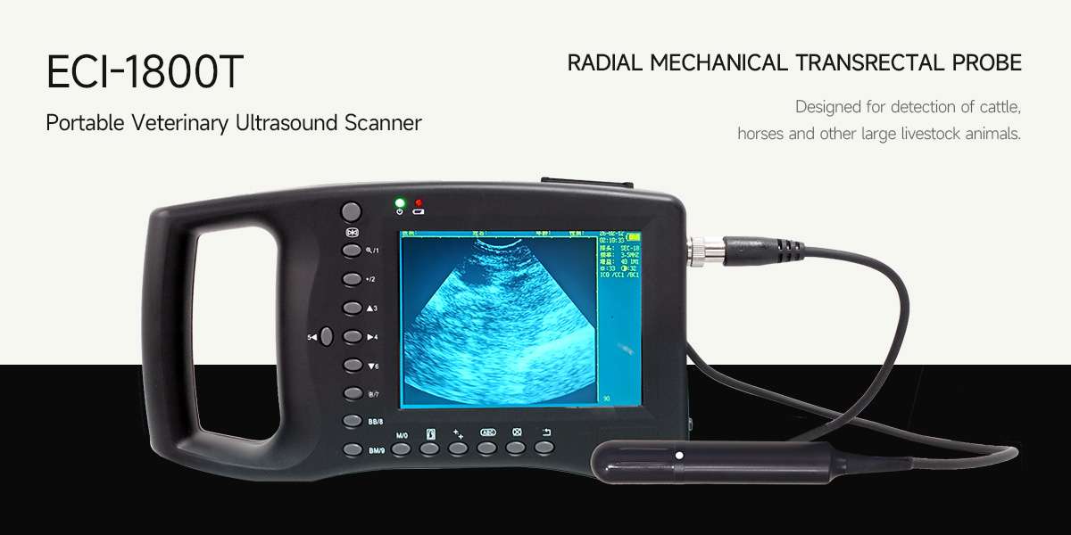 Mechanical External Sector Probe vs. Radial Mechanical Transrectal Probe