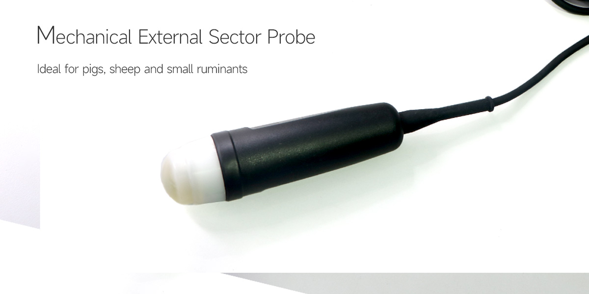 Mechanical External Sector Probe.jpg