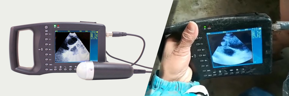 ECI-1800 Portable Ultrasound.jpg