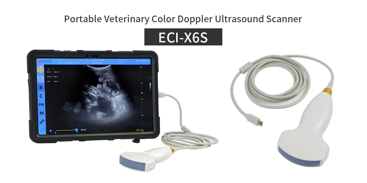 ECI‑X6S: Bring Color‑Doppler Ultrasound to Pig and Sheep Farms