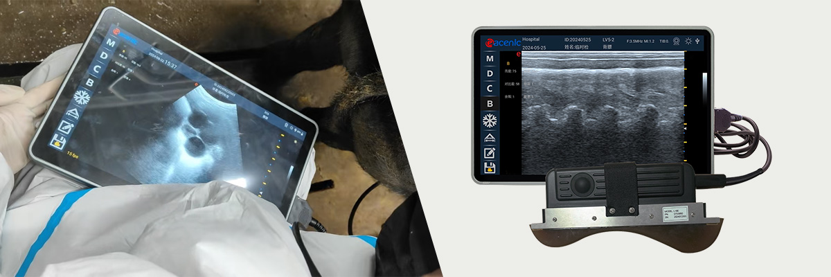 ECI-X8M Color Doppler Ultrasound.jpg