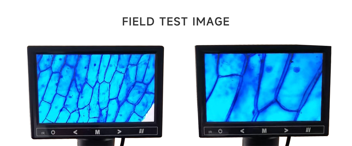 Veterinary Semen Microscope-Field test image.jpg