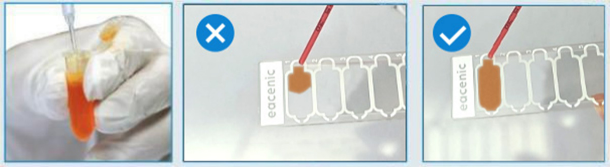 disposable counting chamber.jpg