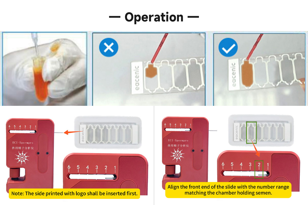 ECI-SpermPro Animal Sperm Quality Analyzer operation
