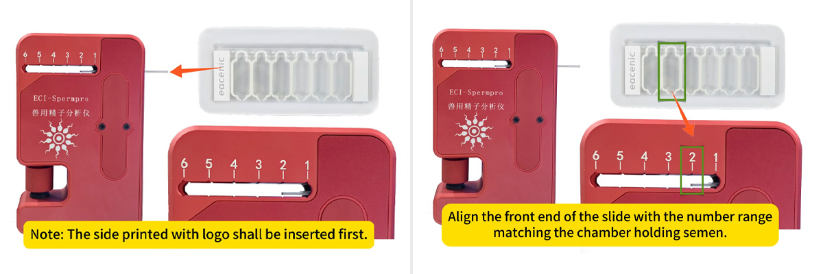 ECI‑SpermPro.jpg