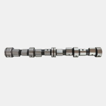 CT-6007 Customized Auto Engine Parts Ductile Iron Engine Camshafts 2101-1006010 For LADA