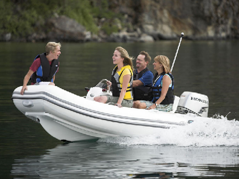 product-description1