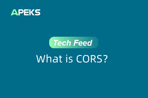 APEKS FAQ | Understanding CORS: The Technology Behind Precise RTK Positioning