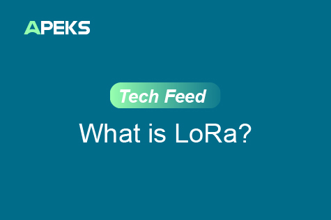 What is LoRa