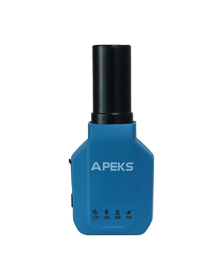 APS06