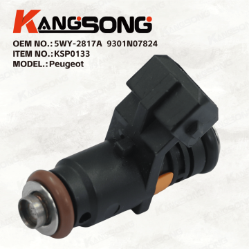 Fuel Injector/5WY-2817A，9301N07824/Peugeot