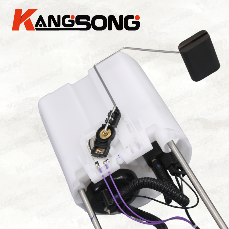 Fuel Pump Assembly/DL14-9H307-AB/Ford Raptor
