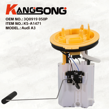 Fuel Pump Assembly/3Q0919050P，3Q0919088B，A2C86856200/Audi A3