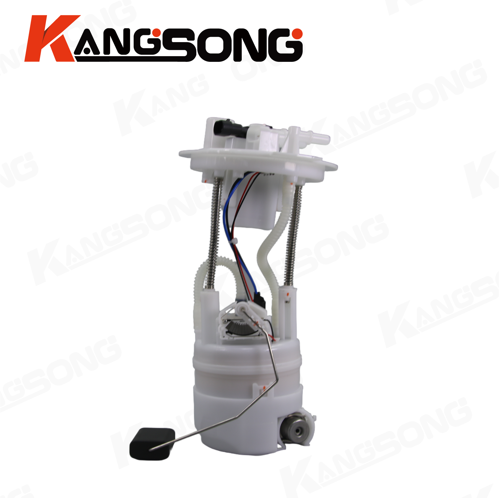 Fuel Pump Assembly/1106010-V24004/Dongfeng Little Tyrant