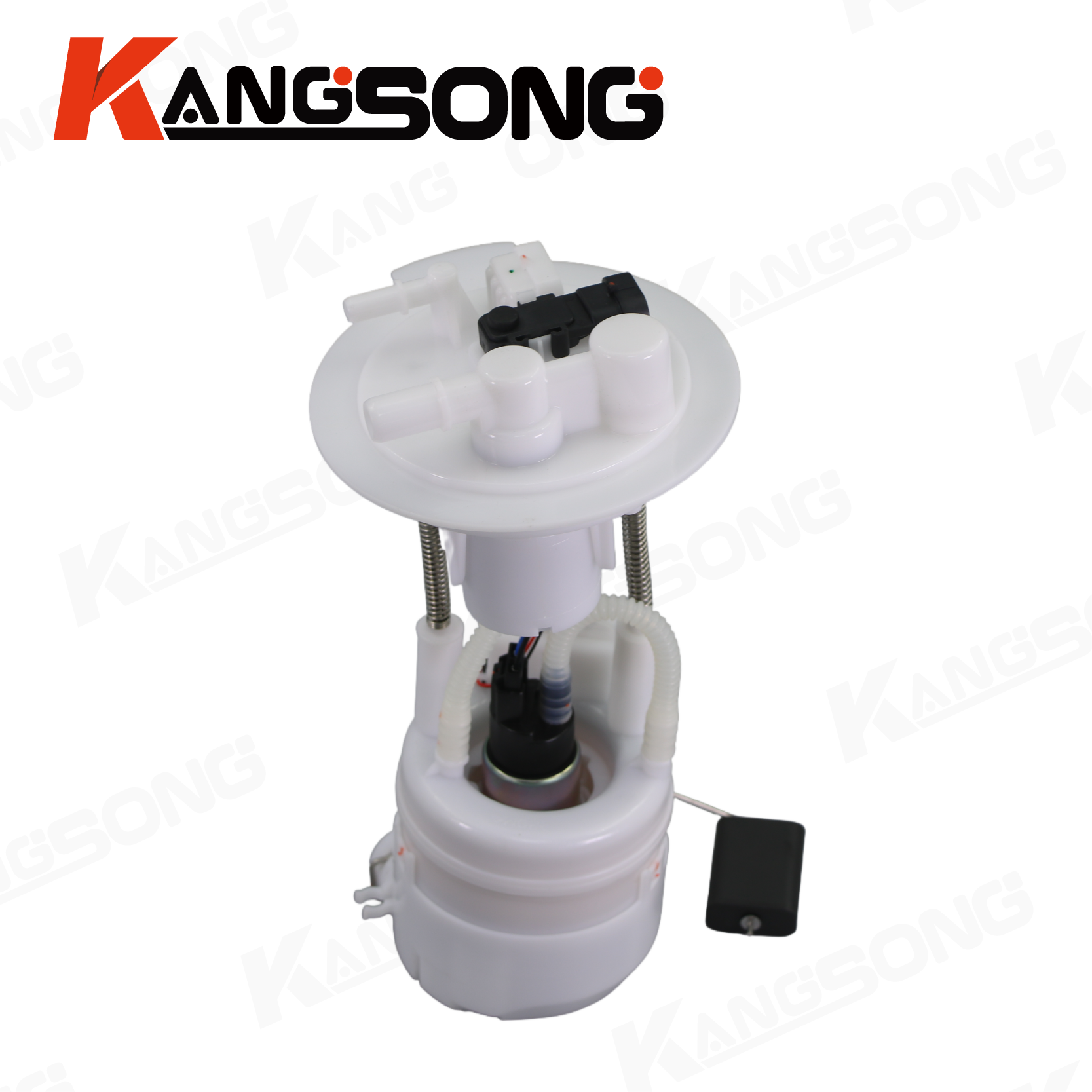 Fuel Pump Assembly/1106010-V24004/Dongfeng Little Tyrant
