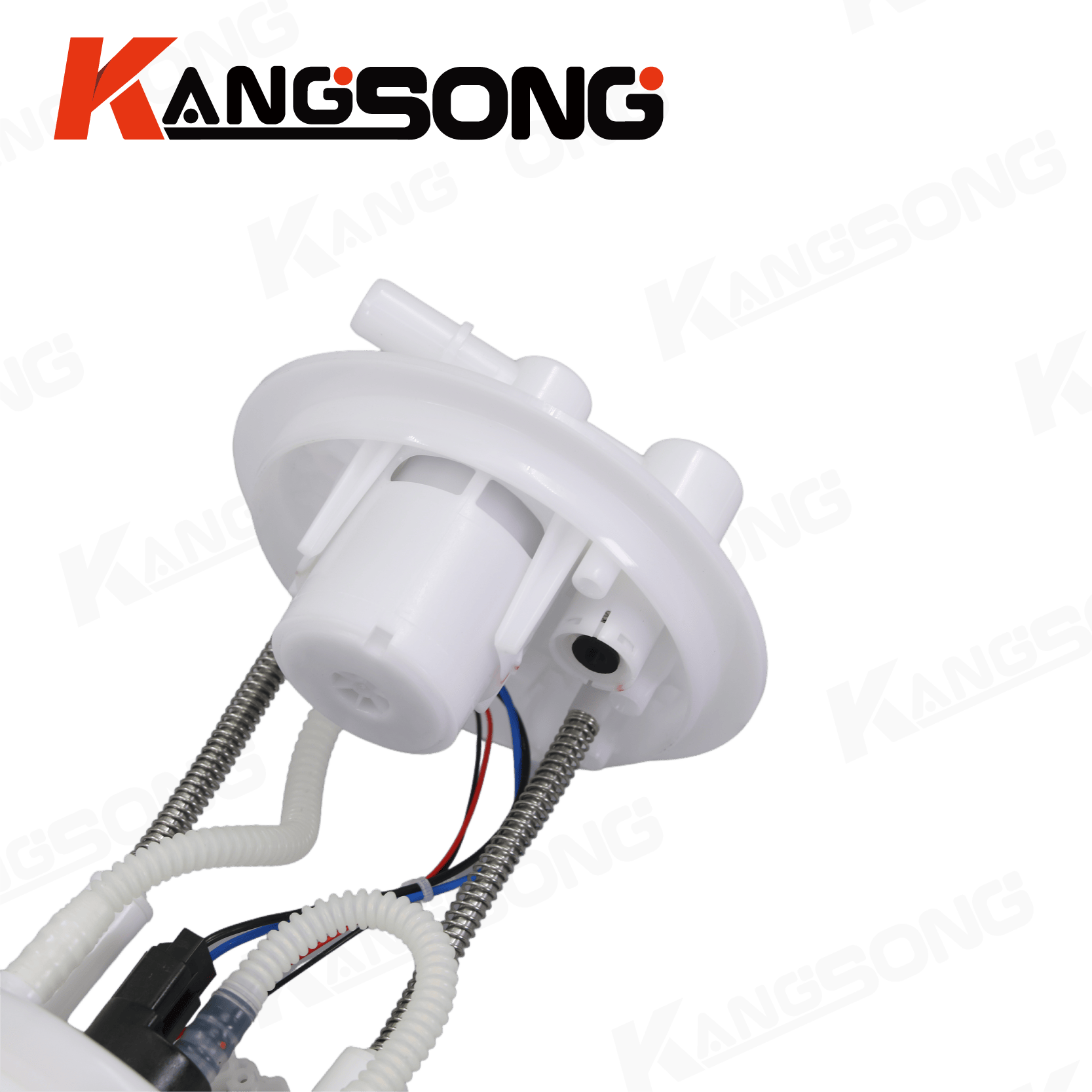 Fuel Pump Assembly/1106010-V24004/Dongfeng Little Tyrant