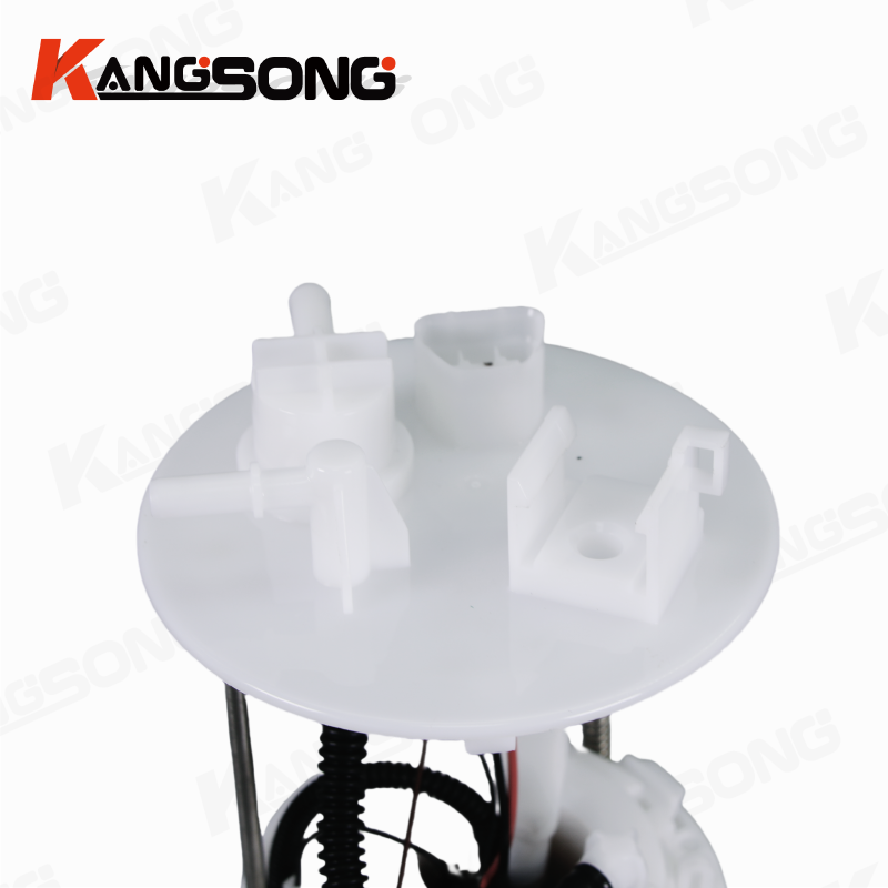 Fuel Pump Assembly/31110-G6100 3110G6100/Kia Picanto
