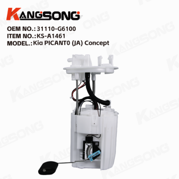 Fuel Pump Assembly/31110-G6100  3110G6100/Kia Picanto