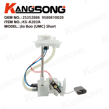 Fuel Pump Assembly/25352886，9580810020/Jia Bao (UMC) Short